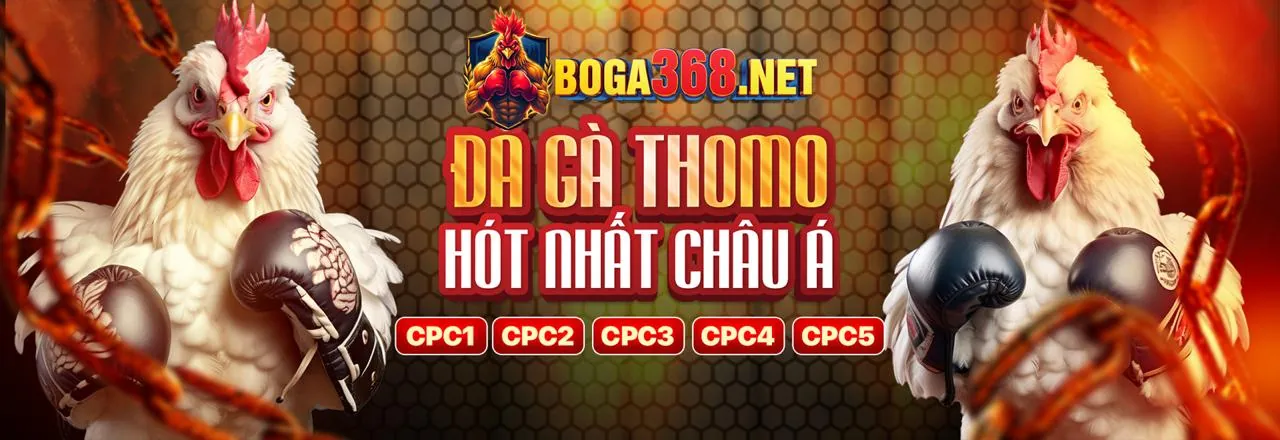 Hỗ trợ khách hàng 79king App 24/7