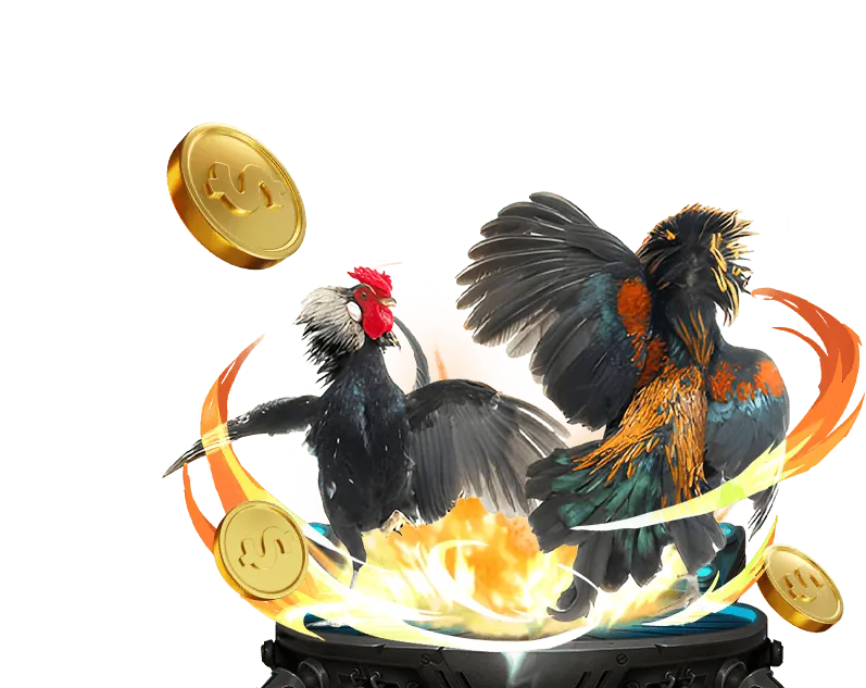 Tổng quan về nền tảng 79king App